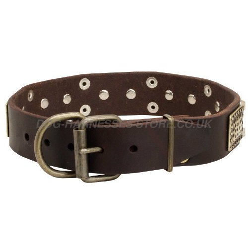 Decorative Leather Dog Collars