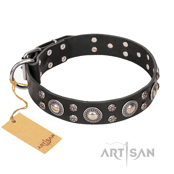 Designer Dog Collar