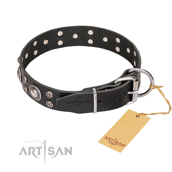 Designer Dog Collar UK