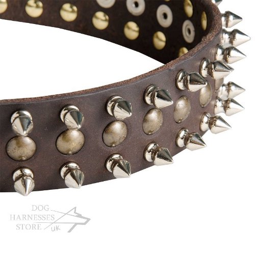 Designer Dog Collars