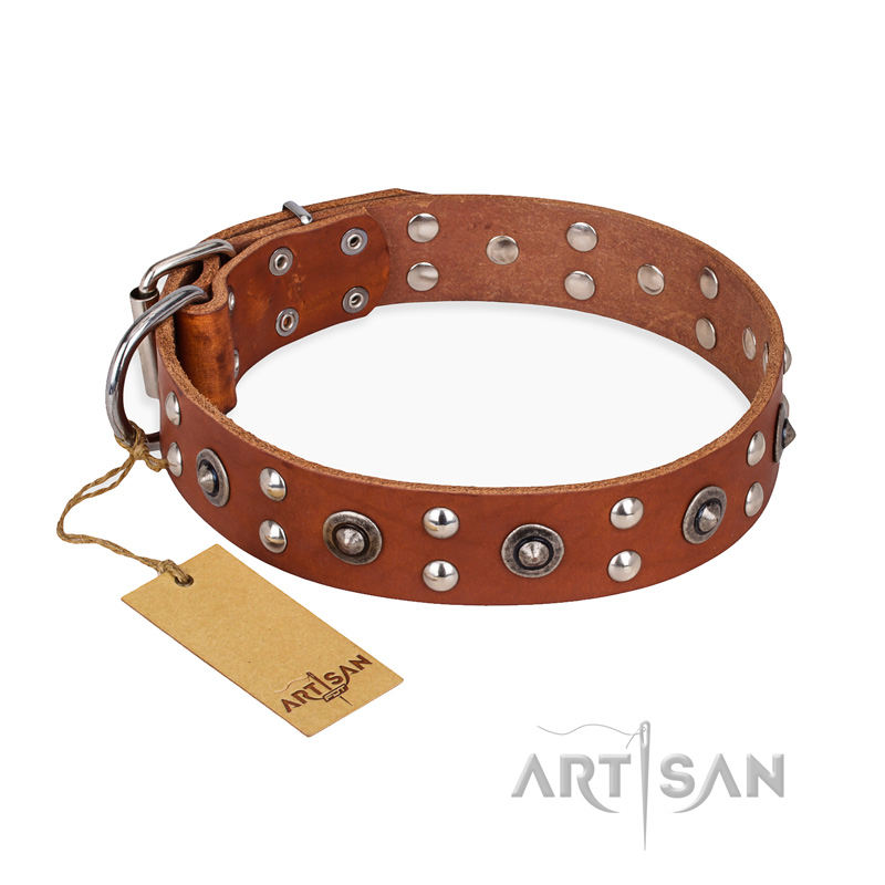 designer dog collar uk
