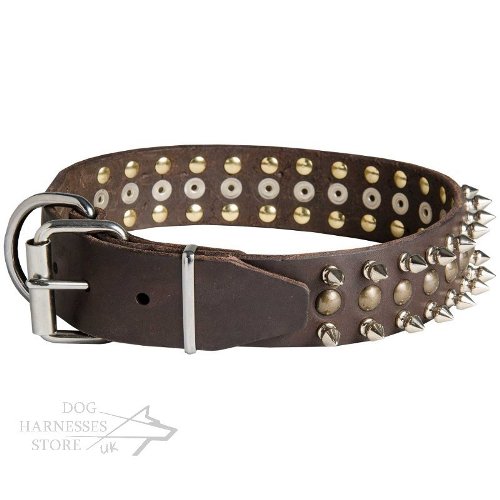 Designer Leather Dog Collars