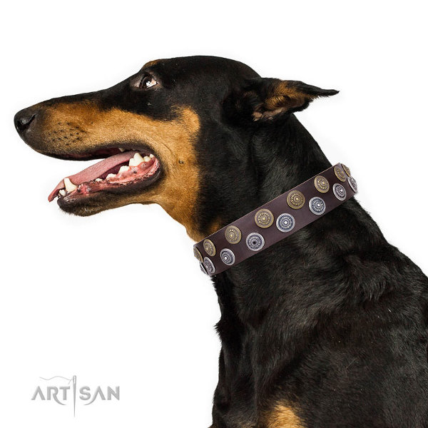 Doberman Collars UK