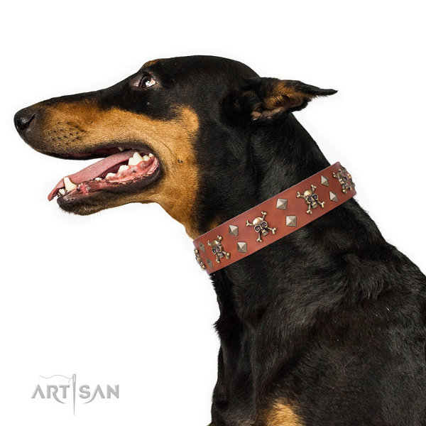 Doberman Collars UK