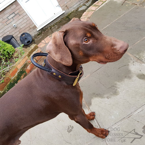 Doberman Dog Collars