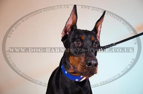 Doberman Leather Dog Collars