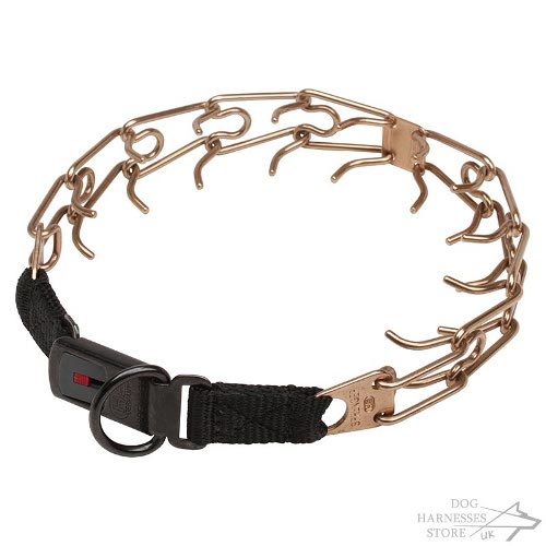 Dog Behavior Collar Training