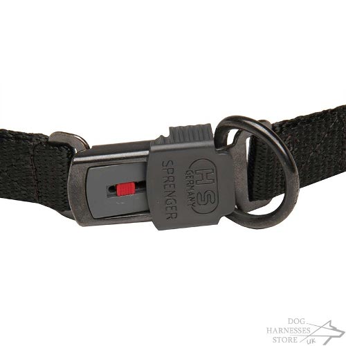 Dog Behavior Control Collar