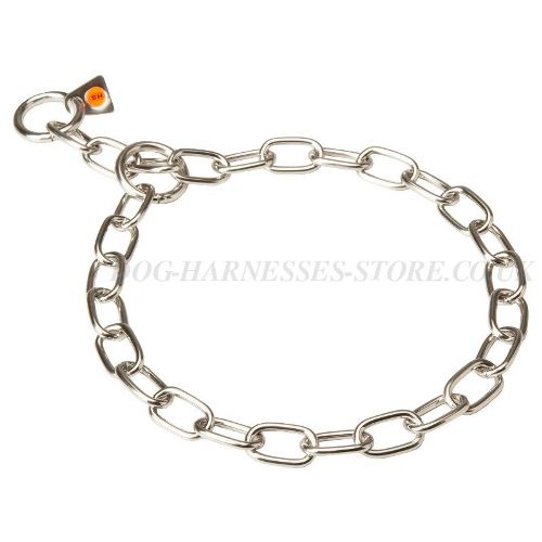 Chain Dog Collar UK