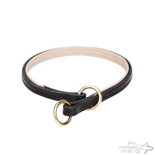 Dog Choke Collar Leather