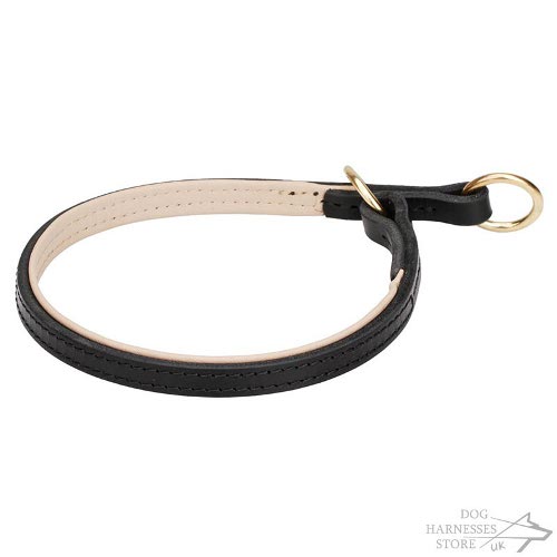 Dog Choke Collar Safe