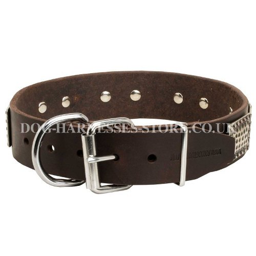 Dog Collar Ancient Style UK