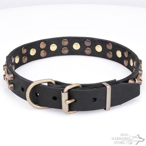 Dog Collar with Stars UK