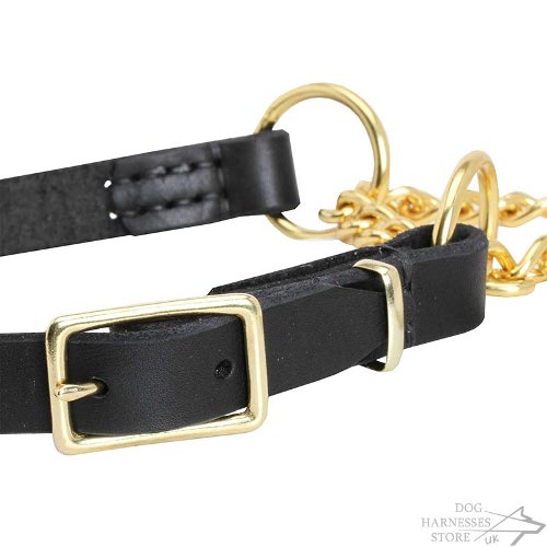 Dog Leather Collars