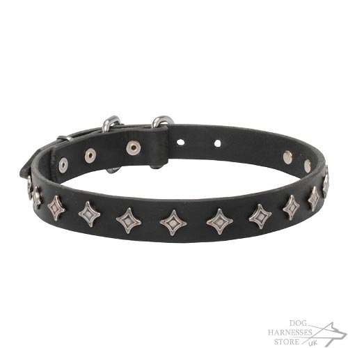 Dog Collar Stars UK