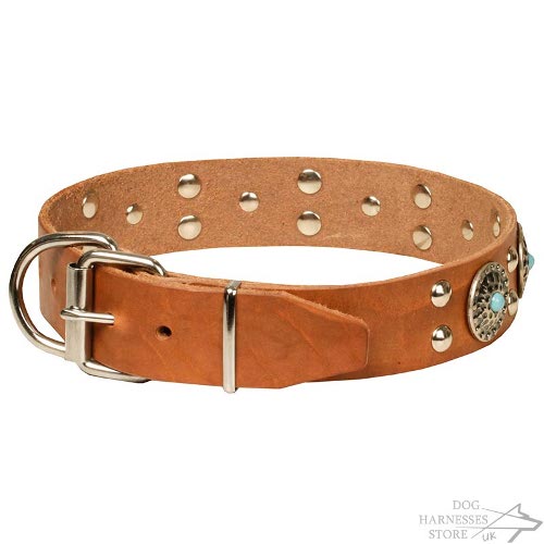 Dog Collar Stones UK