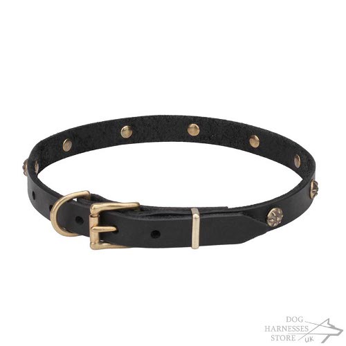 Dog Collar Trend UK