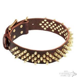 Dog Collar with Barbs