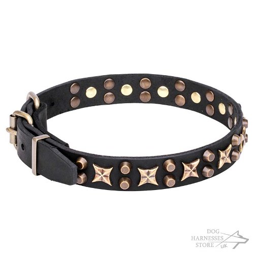 Dog Collar with Stars