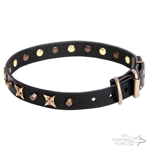 Dog Collar with Stars