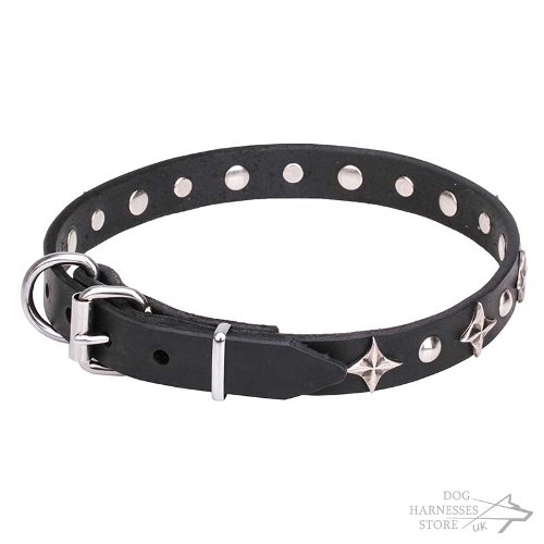 Dog Collar with Stars