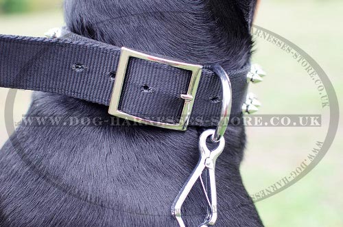 Dog Collars for Dobermans UK