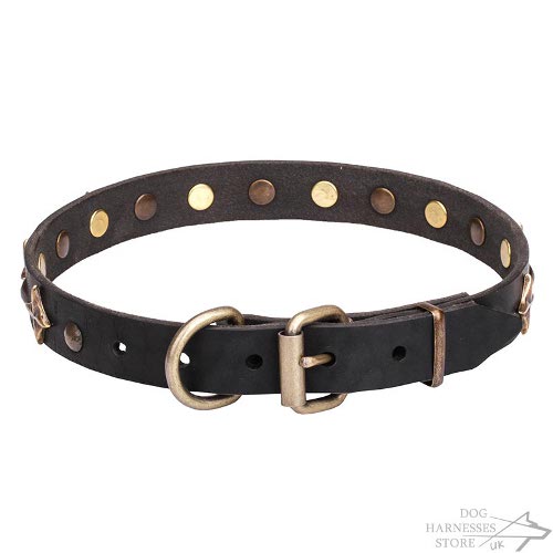 Dog Collar Stars UK