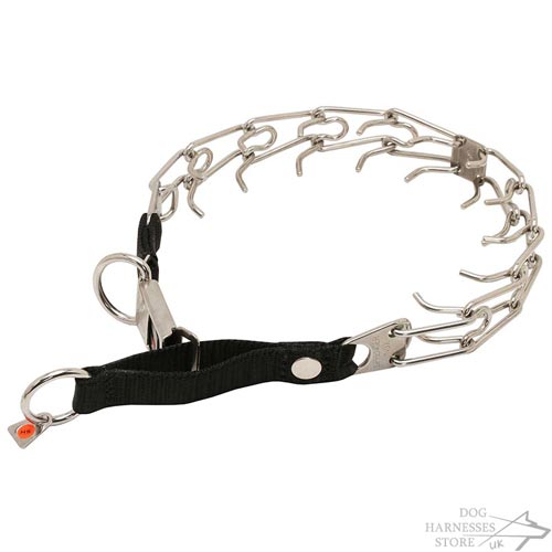 Herm Sprenger Dog Prong Collar