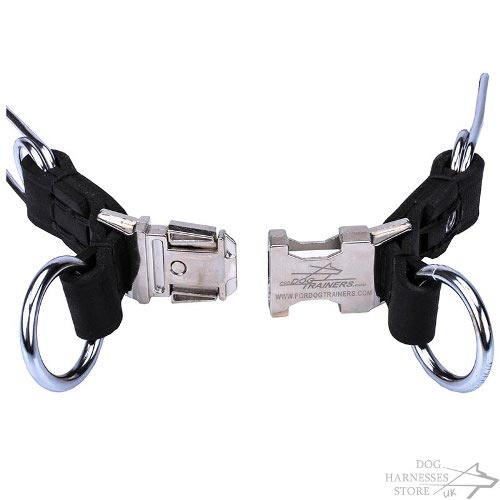 Prong Dog Collars