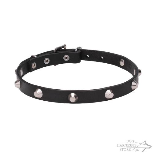 Dog Walking Collar UK