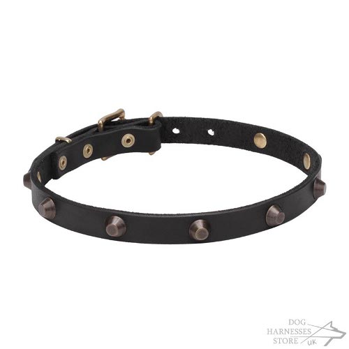 Dog Walking Collar UK