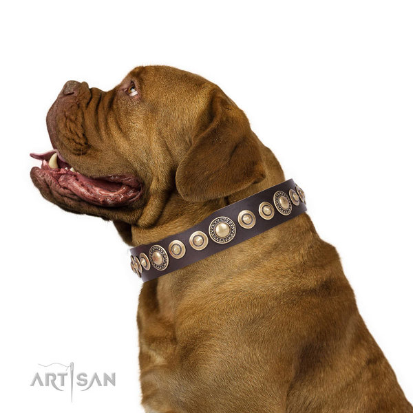 Dogue de Bordeaux Collars UK