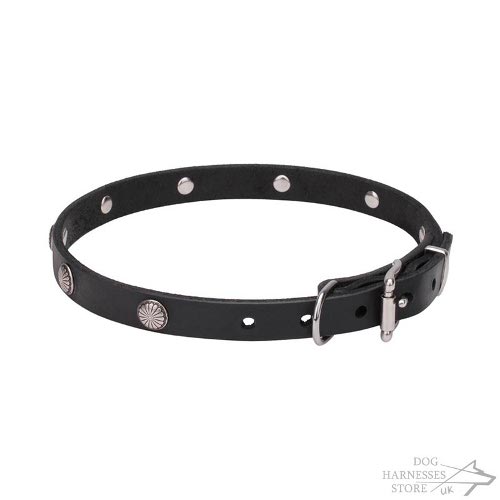 Thin Leather Dog Collar UK