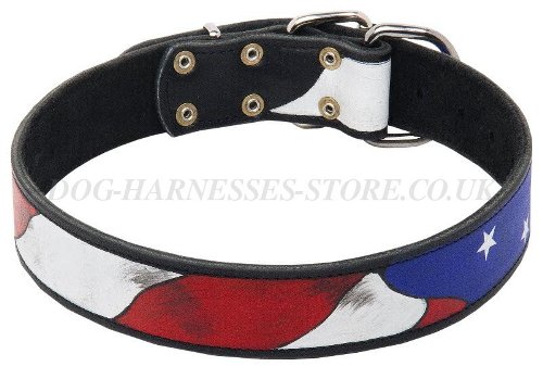 Doberman Pinscher Leather Collar