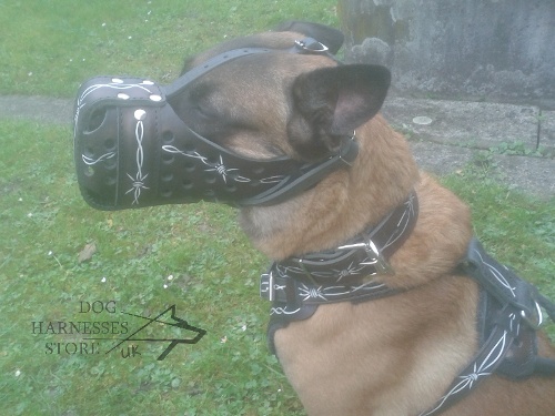 Handmade Dog Muzzle