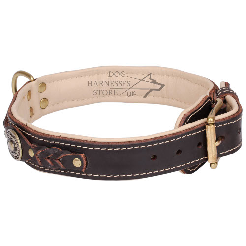 Luxury Dog Collar