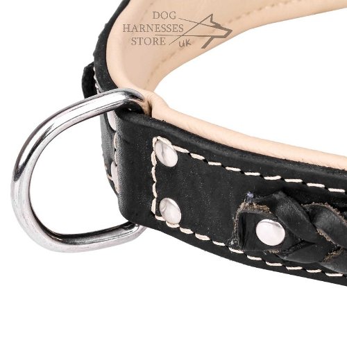 Chic Dog Collar