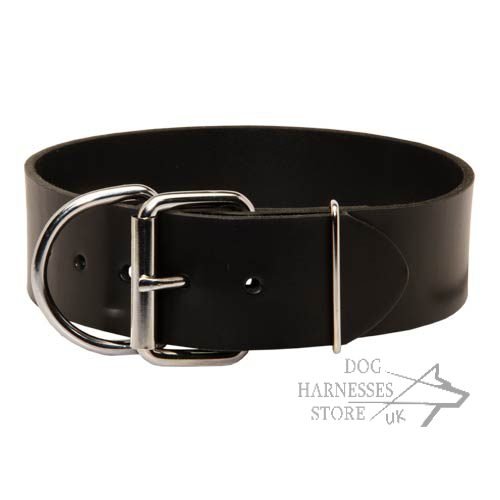 Extra Wide Leather Dog Collars