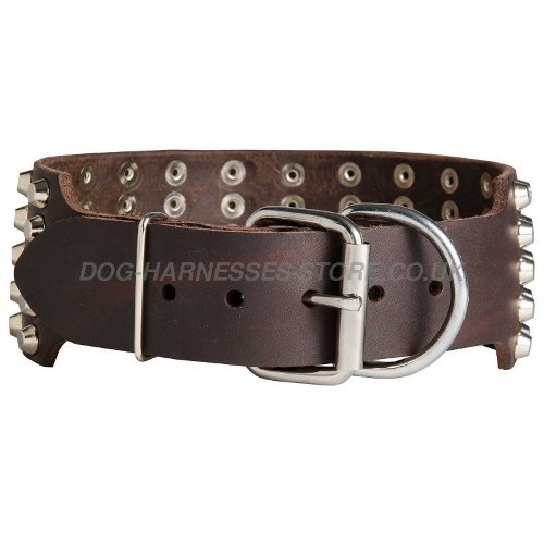 Extra Wide Leather Dog Collars