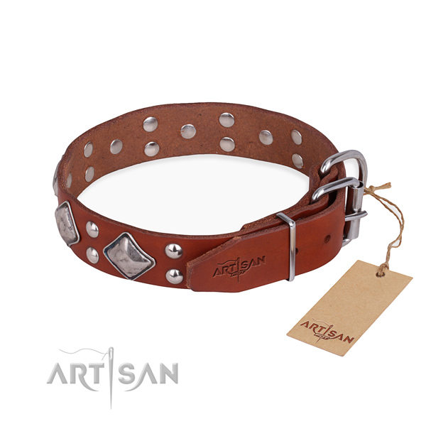 Fancy Dog Collars