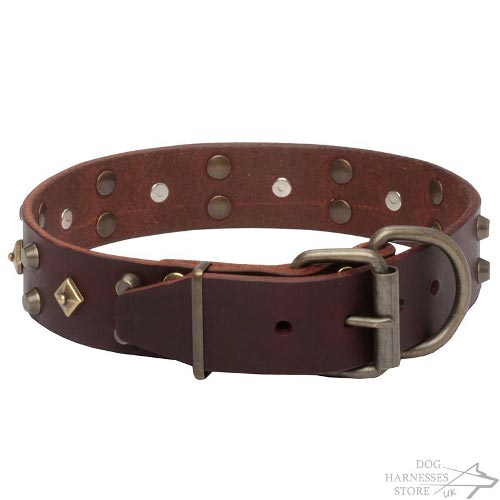 Fashion Dog Collar UK