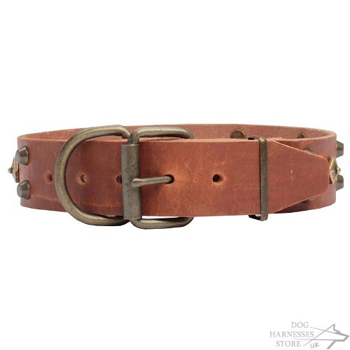 High Fashion Dog Collars UK