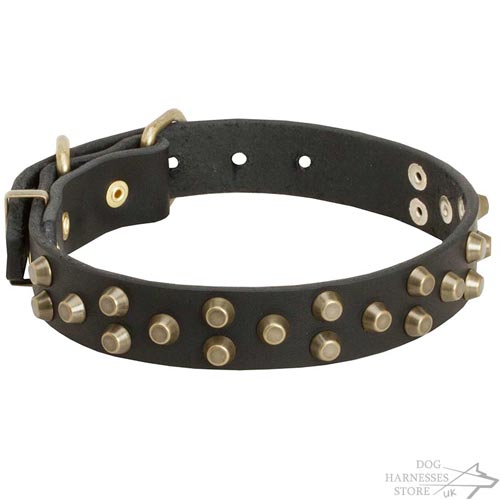 Designer Dog Collars UK