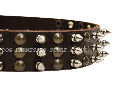 Fashion Leather Dog Collar UK