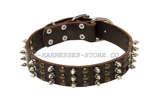 Fashion Leather Dog Collars