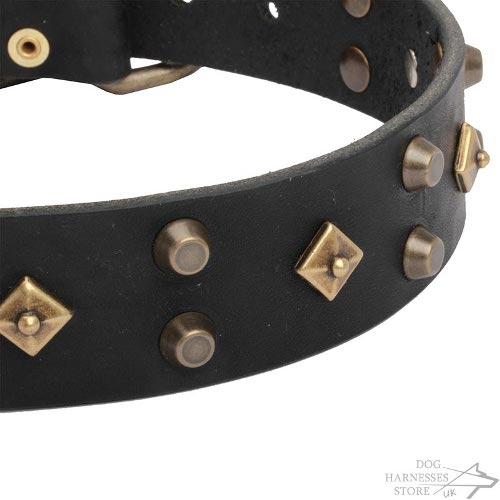 Fashion Leather Dog Collar UK