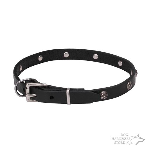 Fashion Leather Dog Collar UK