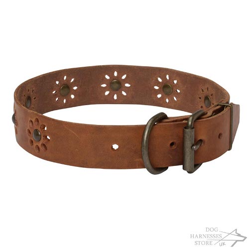 Floral Print Dog Collar