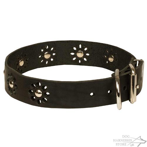 Floral Dog Collars UK