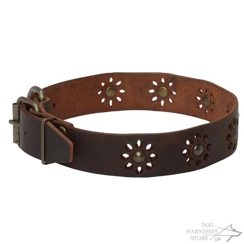 Flower Dog Collar UK